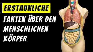 Erstaunliche Fakten über den menschlichen Körper , die du wahrscheinlich noch nicht kanntest!