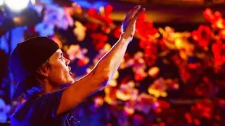 Avicii Live At Tomorrowland 2013 [Full Set] (Bryan Walker Edit)