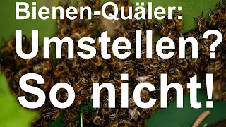 Arme Bienen: Volk einsperren und umstellen am Stand, aber nicht so! Umstellen auf kurze Distanz