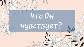 ⚜️ Его чувства..  Что мужчина чувствует к вам? ⚜️