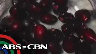 Salamat Dok: Duhat | Cure Mula Sa Nature