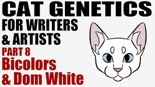 Cat Genetics for Writers & Artists part 8: Bicolors & Dominant White [CC]