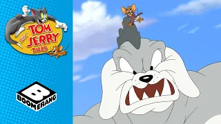 Tom & Jerry | Zen Cat | Boomerang UK
