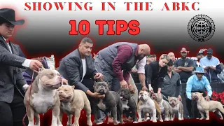 ABKC SHOW TIPS | AMERICANBULLY | DOG