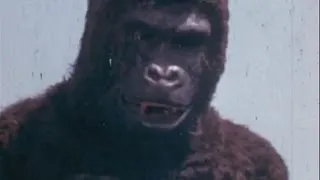 APE (Restored 1976 Trailer) 3D red/cyan