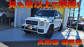 G63 AMG ゲレンデ 見た目以上に獰猛！544馬力！トルク77.5kg･mのSUV！