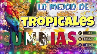 TROPICALES MIX EXITOS PARA BAILAR🎉LOS KARKIKS,MATEO Y SUS TECLADOS,EL NEGRO..💃CUMBIAS TROPICALES MIX