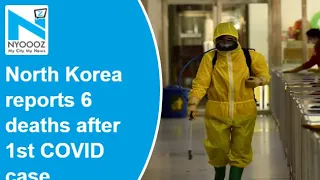 North Korea reports 6 deaths after admitting Covid-19 outbreak