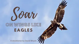 Soar On Wings Like Eagles