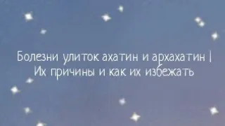 Болезни ахатин и архахатин | Их причины и как их избежать