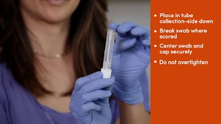 Fulgent COVID-19 Nasal Swab Collection Instructions