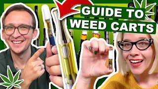 How to Use WEED OIL CARTS 💨 Beginner's Guide