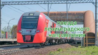 Поезда ленинградского направления на станции "Покровка" 19.05.2024