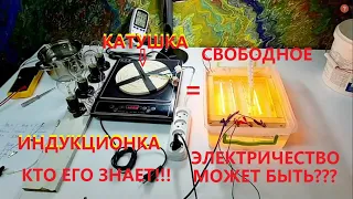 ИНДУКЦИОНКА + КАТУШКА = СВОБОДА, но не такая ка ты думаешь!