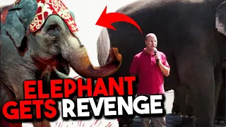 Circus Trainer CRUSHED To Death By ABUSED Elephant