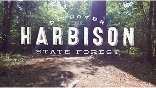 Discover Harbison State Forest