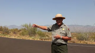 Overlooking the Rincon Mountains - Saguaro National Park