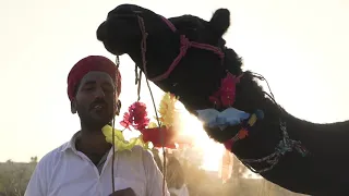 Le Rajasthan - Guy Richer en Inde du Nord avec Voyages Traditours