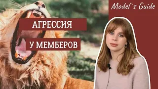 Агрессия у мемберов. Как справиться с агрессией в свой адрес?