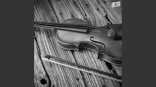 Violon