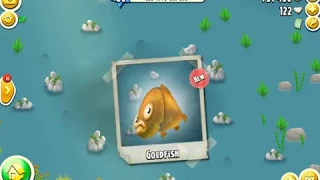 Hay Day - Learn to Catch Goldfish