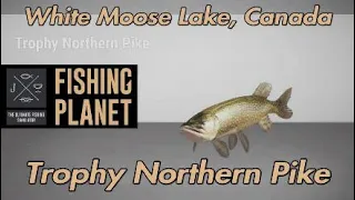 Fishing Planet Trophy Northern Pike White Moose Lake Canada