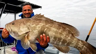 CERNIA 16,5 kg A SLOW: Il miglior modo di testare la mia Seaquake Tokyo