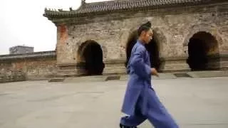 Wu Dang Tai Yi Wu Xing Quan太乙五行拳