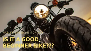 Why the Harley Davidson Iron 883 is NOT a good beginner bike