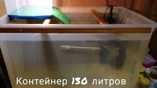 Красноухая черепаха. Новый дом Коржика