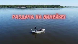 Вилейское вдхр! Открываем лодочный сезон! Судака как грязи!