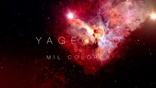 Yagecito De Mil Colores - Fherley Majin - Musica de Medicina. Ayahuasca