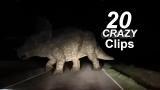 Dinosaurs ALIVE?! 20 STUNNING Footage You WON'T BELIEVE!