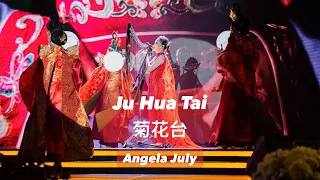 ANGELA JULY | Ju Hua Tai 菊花台 - Jay Chou (Vocal and Harp Live Performance)