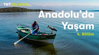 Anadolu'da Yaşam | Göl | TRT Belgesel