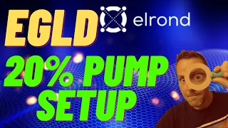 EGLD Setup for 20% Pump