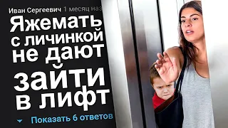 ЯЖЕМАТЬ С ЛИЧИНКОЙ НЕ ДАЮТ ЗАЙТИ В ЛИФТ. ЯЖЕМАТЬ ИСТОРИИ.