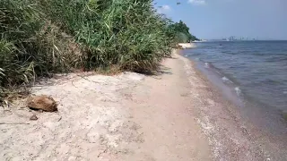 Мариуполь дикий пляж 20 июля 2021 отдых путешествия