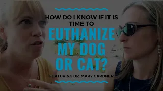 How Do I Know if it is Time to Euthanize my Dog or Cat?: Vlog 102