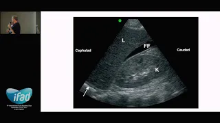 2017 Abdominal incl  FAST – Paul Elbers