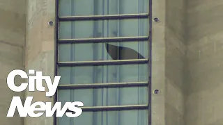 Falling glass from the CN Tower crashes down as strong winds invade Toronto