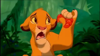 The Lion King – Grubs