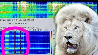ЧАСТОТА Шумана Резонанс обзор на 1,2,2021 понижение частоты в Томске, СУПЕР график в Норвегии