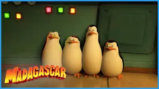 The penguins are unimpressed | DreamWorks Madagascar