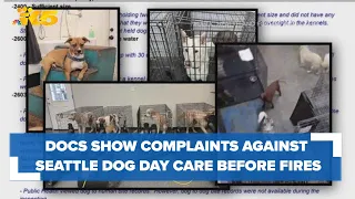 Records show a history of complaints against dog day care before facility fires