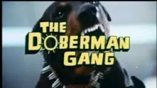 فيلم عصابة الكلاب ١٩٧٢ - The Doberman Gang - نسخة ترجمها Kareem kiki