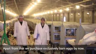 Kuchenmeister Nachhaltigkeitsbericht / Sustainability report (english subtitles)