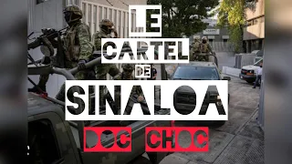 les cartels Mexicains #  cartel de Sinaloa # doc choc