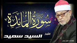 القارئ الشيخ / السيد سعيد وما تيسر له من سورة المائدة