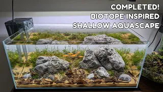 Shallow Biotope Aquascape is COMPLETE!